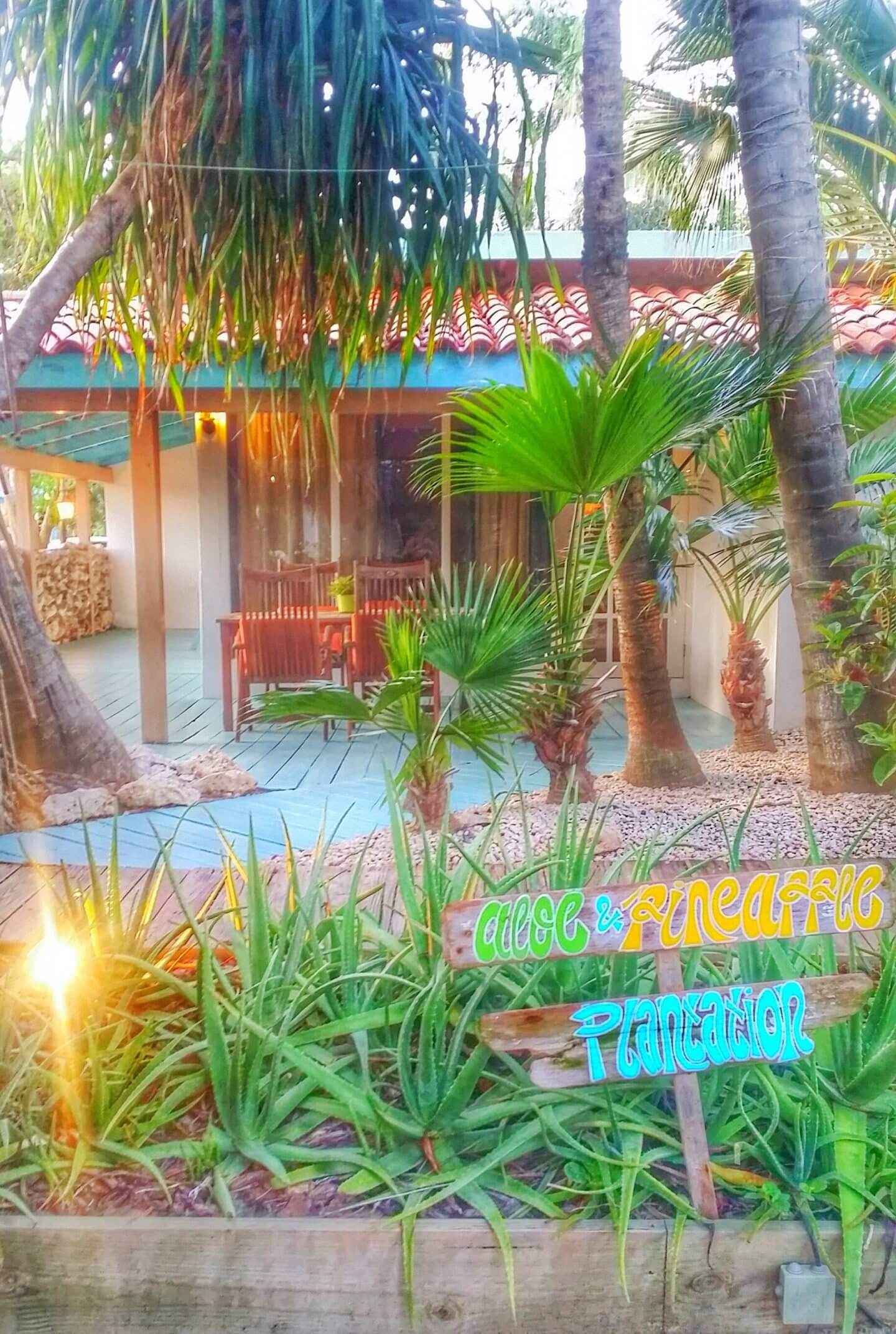 boardwalk small hotel where is tara povey top irish travel blog