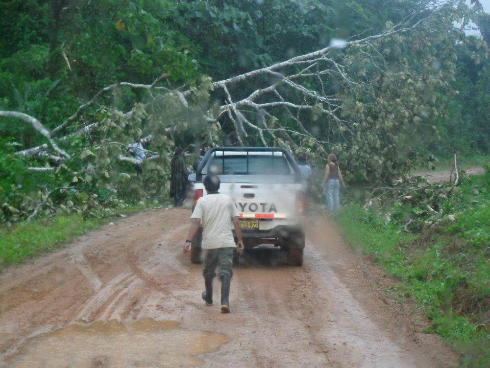 the Amazon rainforest trip where is tara irish travel blog