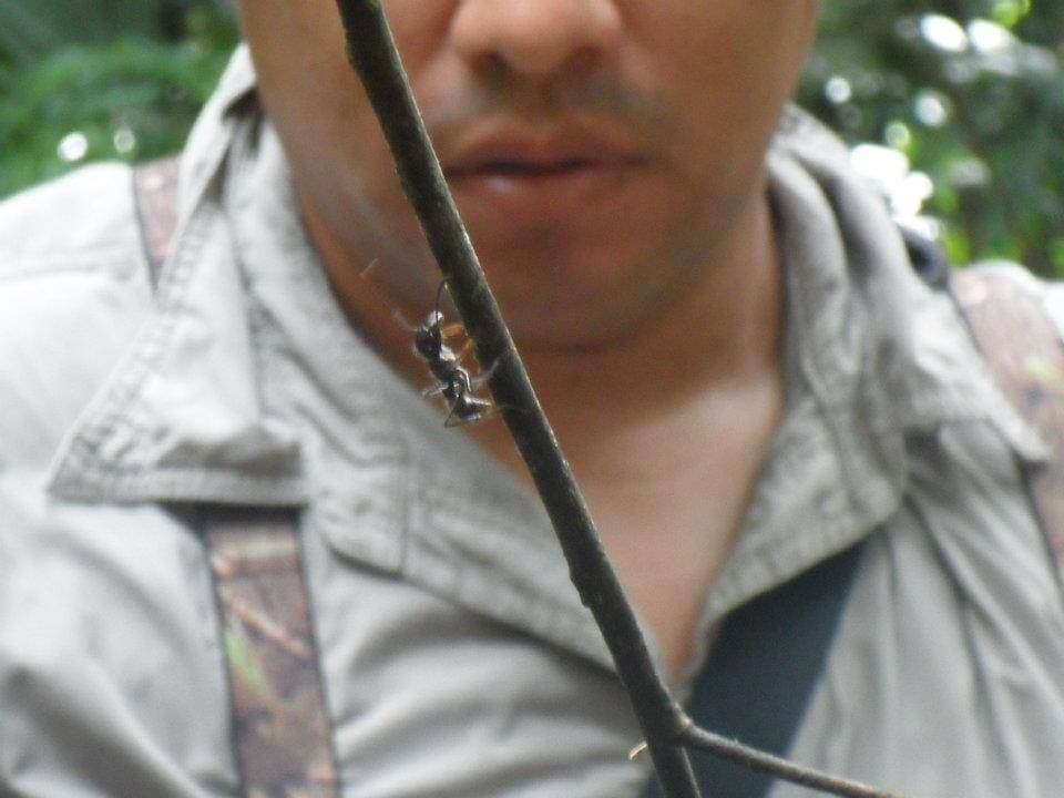 the Amazon rainforest trip where is tara irish travel blog