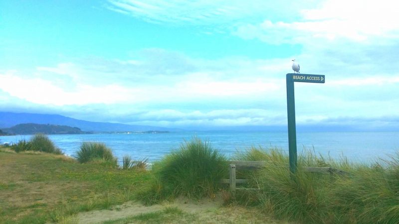 south island new zealand road trip where is tara povey top irish travel blog