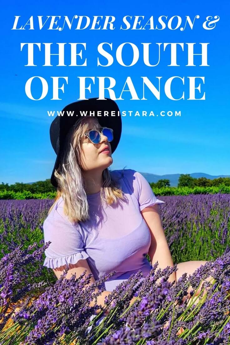 lavender season in provence south of france valreas