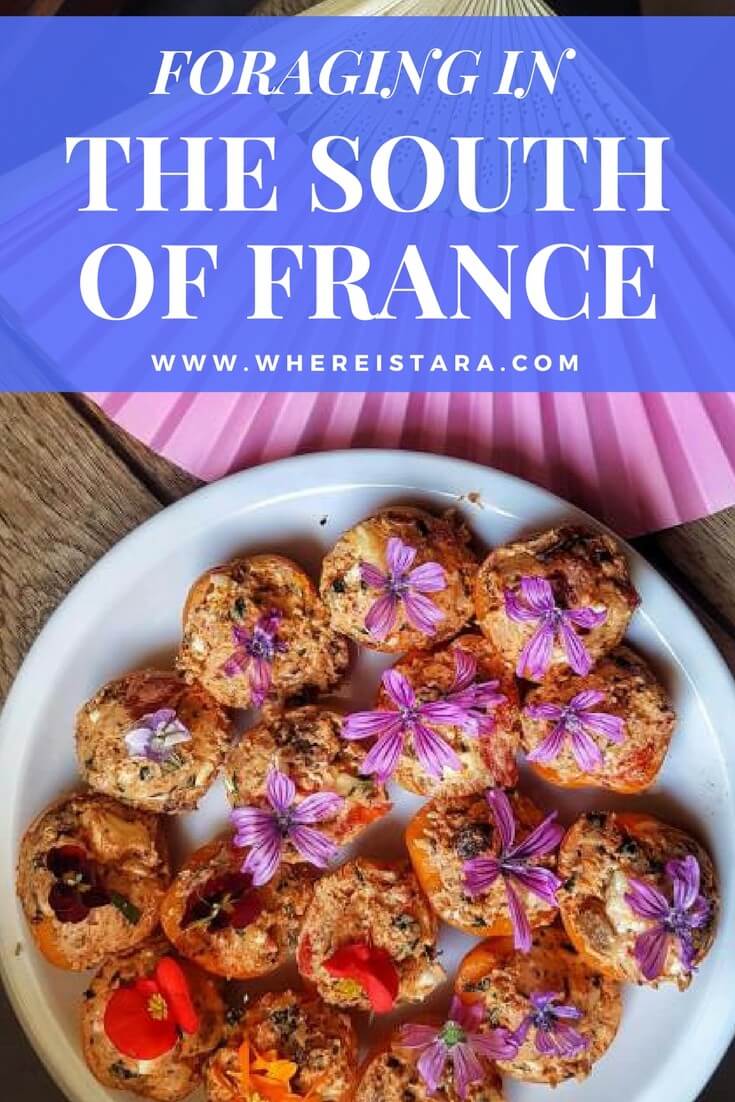 lavender season in provence south of france valreas