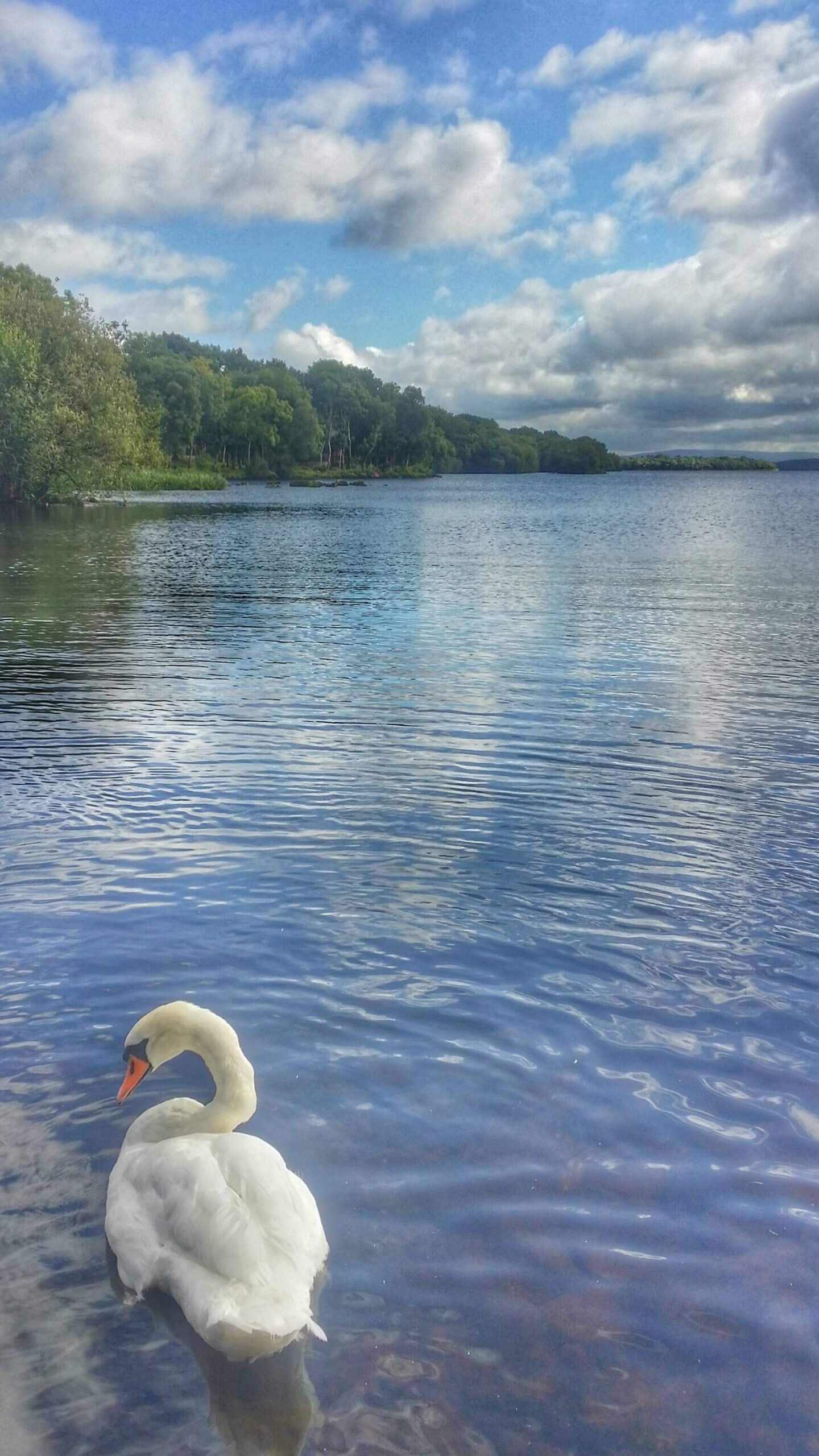 lusty beg island where is tara povey top irish travel blog