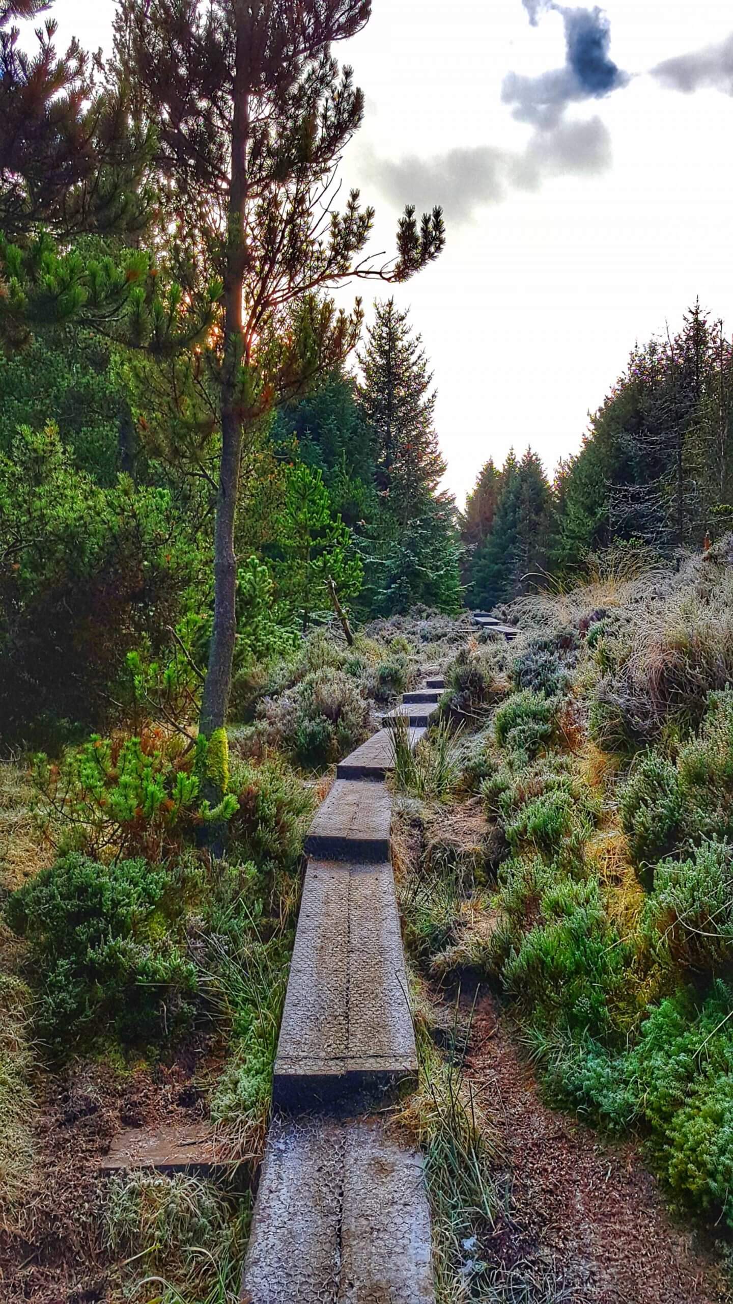 colourful outdoor gear trespass where is tara povey top irish travel blog