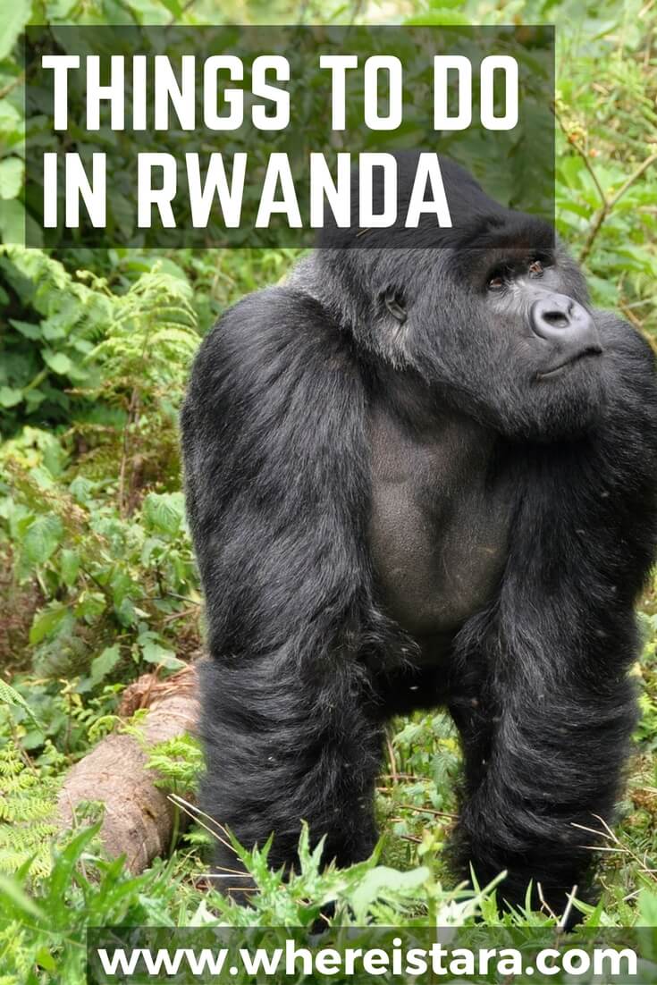 things to do in RWANDA where is tara povey top irish travel blogger