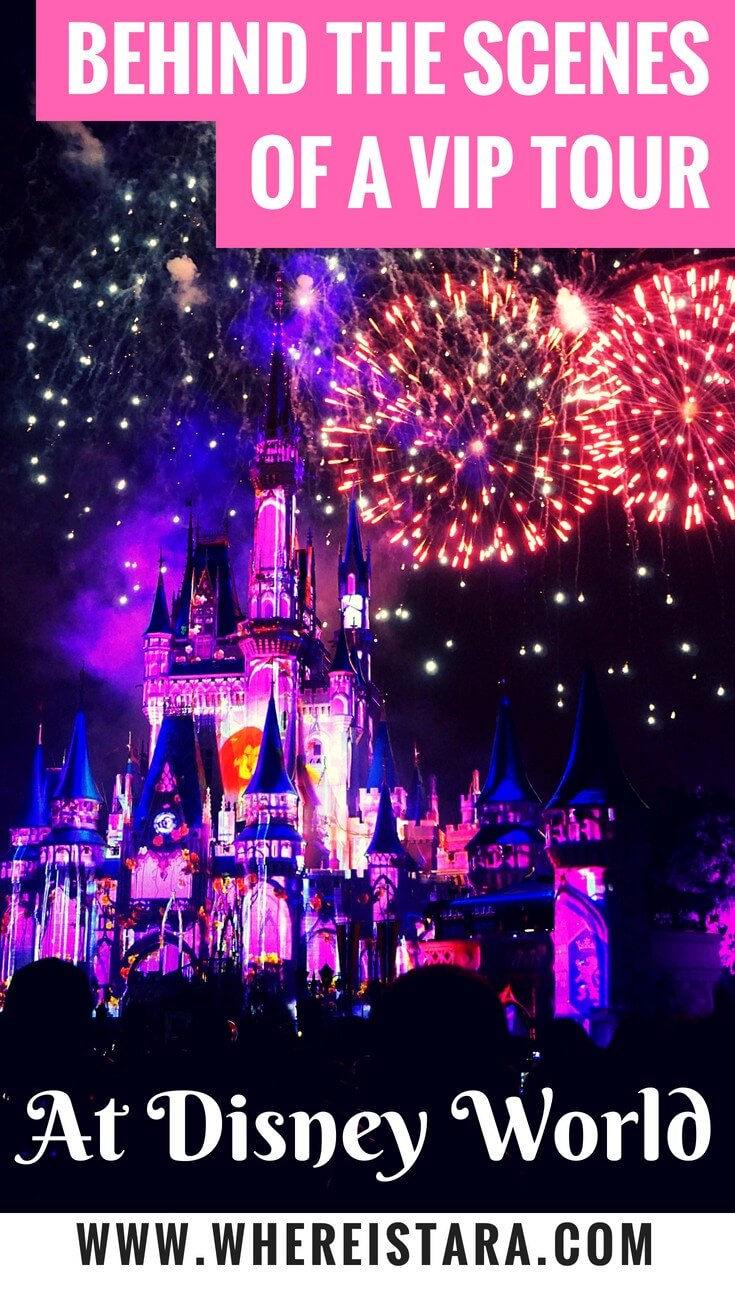 vip disney tour disney world vip tour where is tara